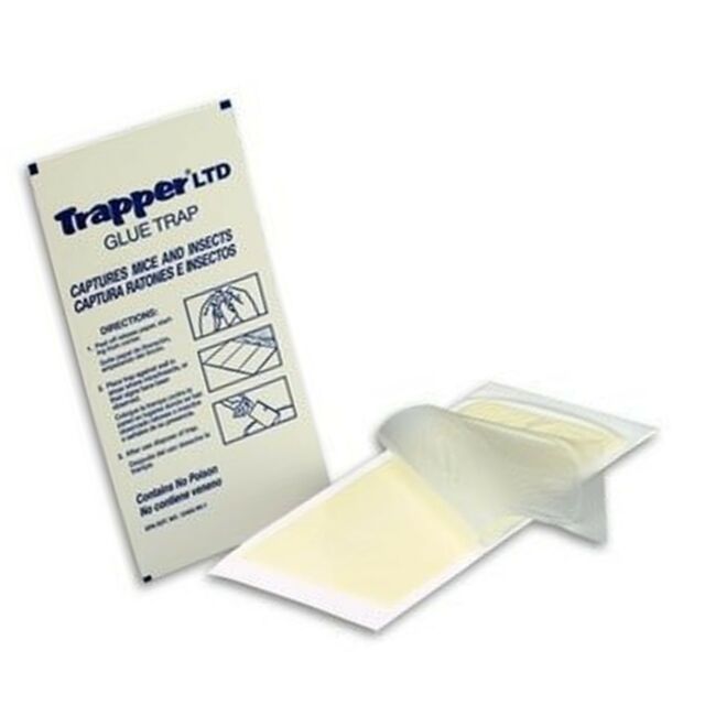 Φωτογραφία προϊόντος: ΠΟΝΤΙΚΟΠΑΓΙΔΑ TRAPPER LTD – Παγίδα κόλλας για ποντίκια και τρωκτικά