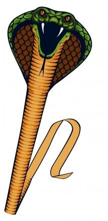 Φωτογραφία προϊόντος: Gunther Χαρταετός Cobra 69 x 64 εκ. (1154)