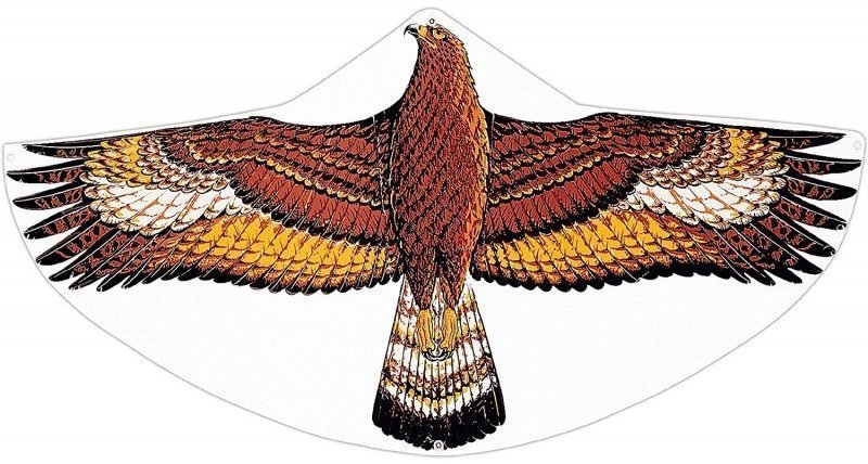 Φωτογραφία προϊόντος: Gunther Χαρταετός Steinadler 122 x 68 εκ. (1146)