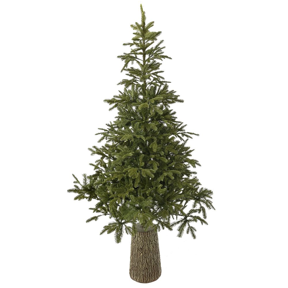 Φωτογραφία προϊόντος: Iliadis Δενδρο Mountain Pine 240Ek Σε Fiber Glass Resin Βαση
