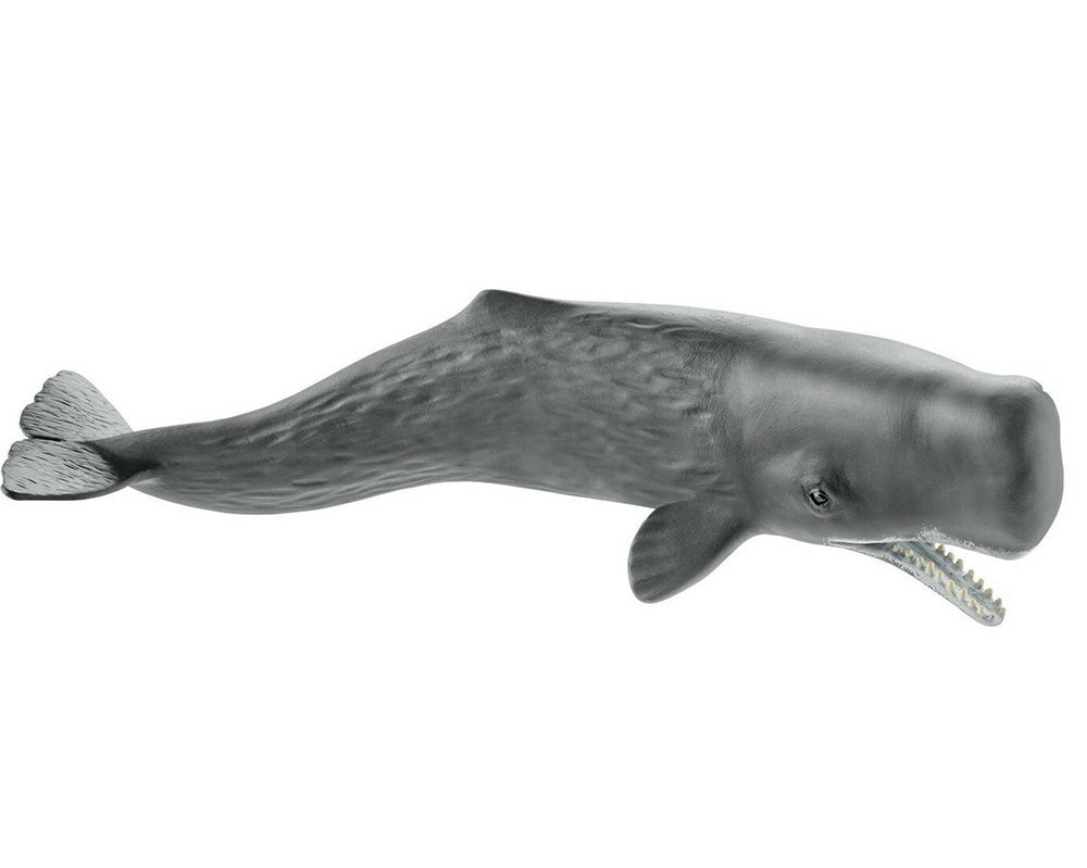 Φωτογραφία προϊόντος: Schleich Παιχνίδι Μινιατούρα Φάλαινα Φυσητήρας (SCH14764)