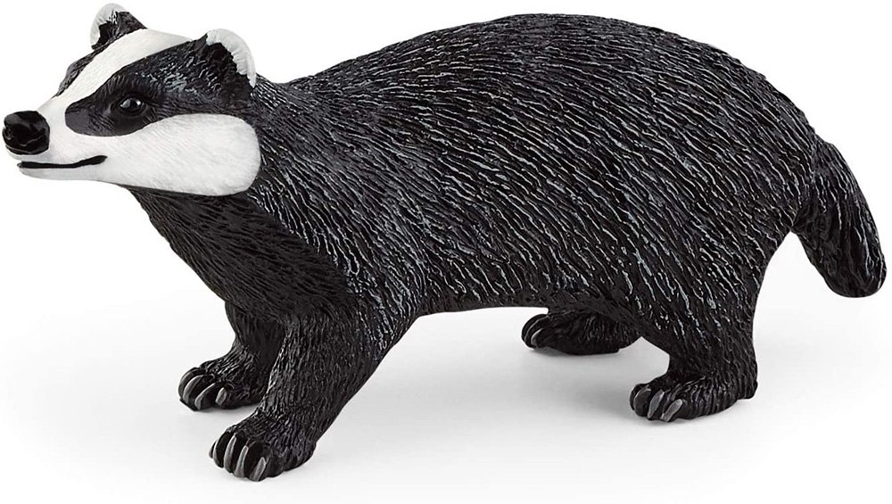 Φωτογραφία προϊόντος: Schleich Παιχνίδι Μινιατούρα Λευκός Ασβός (SCH14842)