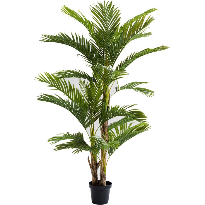Φωτογραφία προϊόντος: KARE Φυτό Palm Tree Πράσινο 190 εκ. - Πράσινο - 45Μx40Πx190Υ