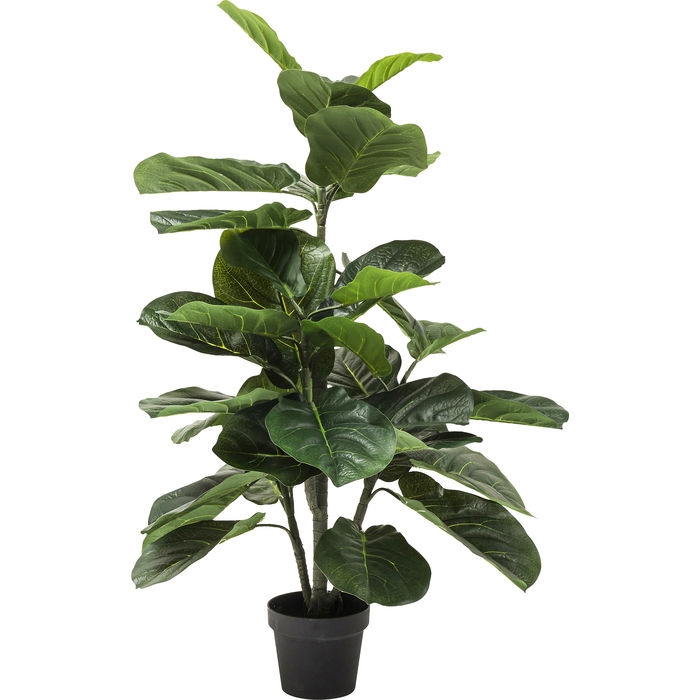 Φωτογραφία προϊόντος: KARE Διακοσμητικό Φυτό Fiddle Leaf 30x17x120 εκ. - Πράσινο - 30Μx17Πx120Υ