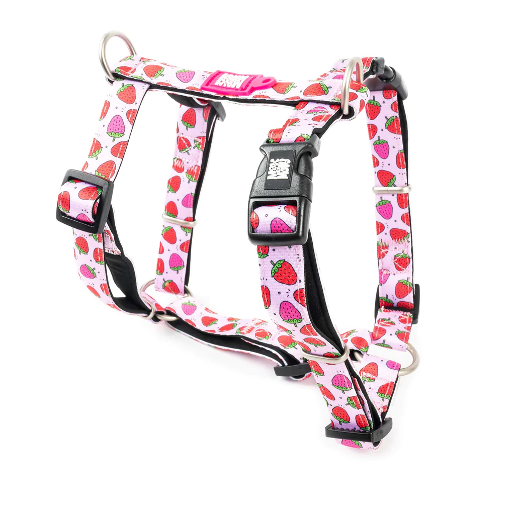 Φωτογραφία προϊόντος: Max &amp; Molly Max + Molly Harness Strawberry Dream L