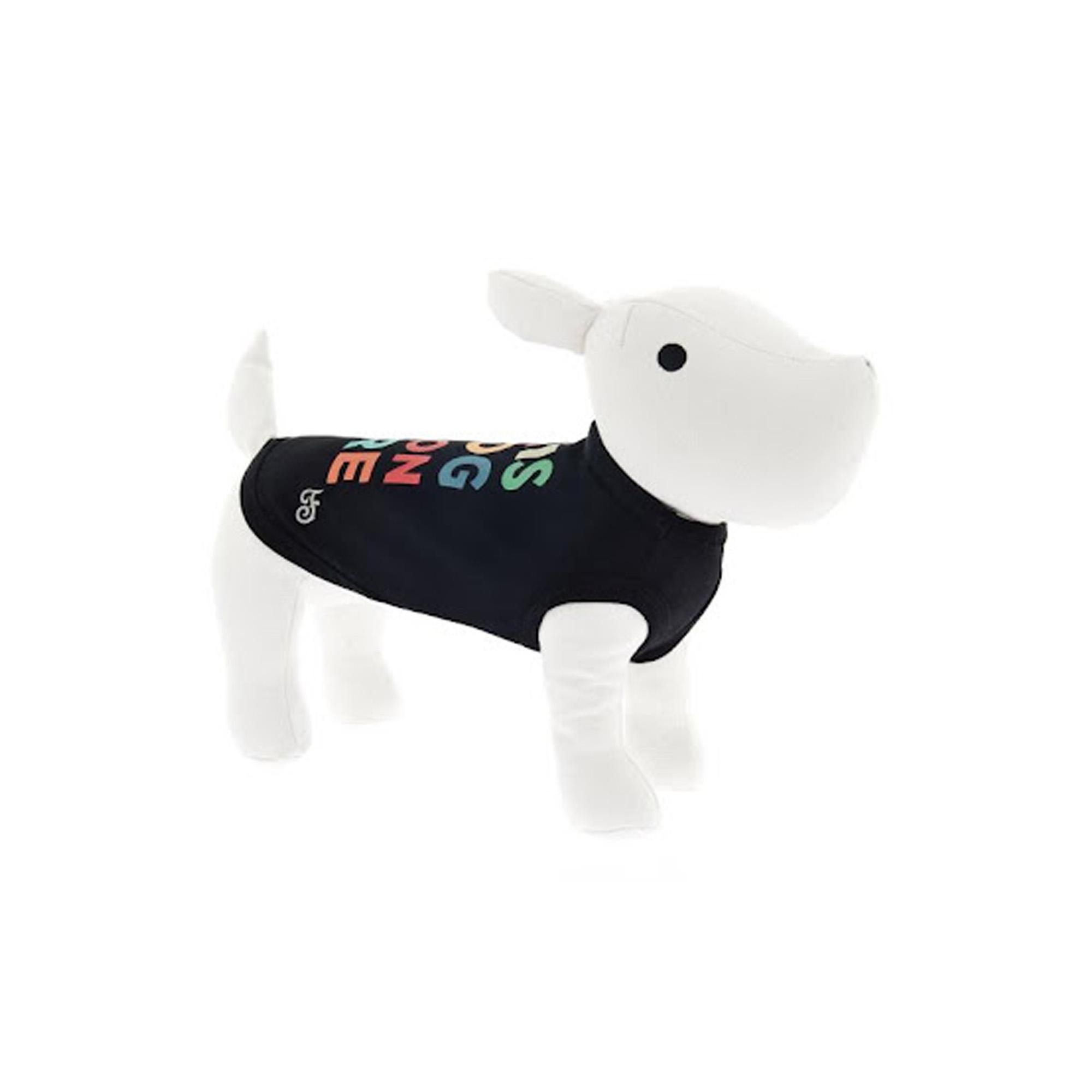 Φωτογραφία προϊόντος: Ferribiella T-shirt THIS DOG IS ON FIRE XL
