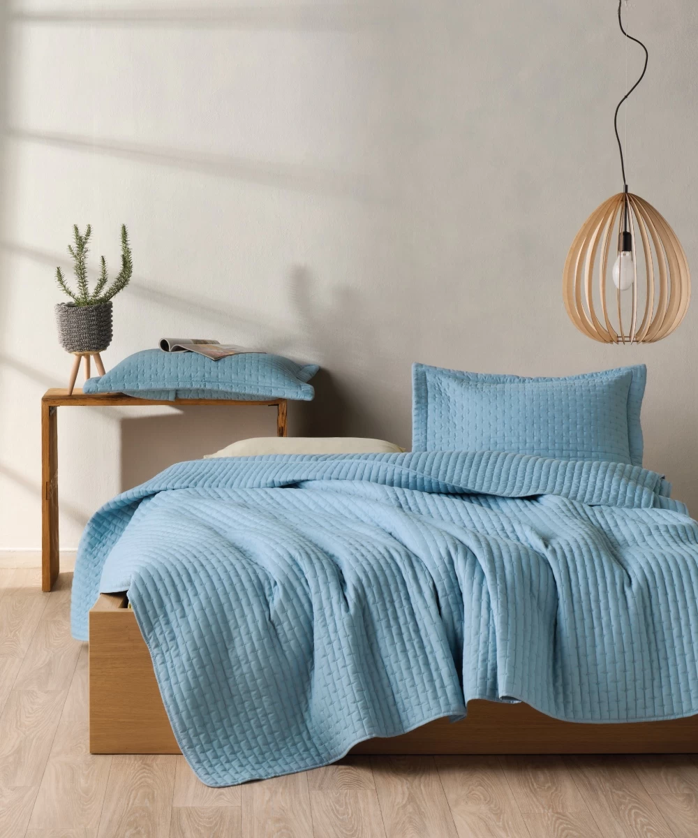 Φωτογραφία προϊόντος: KENTIA HOME MASON 19 ΚΟΥΒΕΡΤΟΡΙΟ ΗΜΙΔΙΠΛΟ 180x240 RAF BLUE ΣΕΤ 2 ΤΕΜ (180X240) (50X70 5)