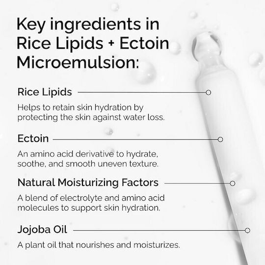 Φωτογραφία προϊόντος: THE ORDINARY. The Ordinary Rise Lipids & Ectoin Microemulsion Κρέμα Προσώπου Ελαφριάς Υφής για Λάμψη & Ενυδάτωση, 60ml