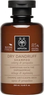 Φωτογραφία προϊόντος: APIVITA Dry Shampoo Celeri+Propolis 250ml