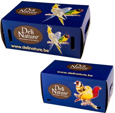 Φωτογραφία προϊόντος: Deli Nature χάρτινο κουτί για ασφαλή και άνετη μεταφορά ωδικών πτηνών κουτιά μεταφοράς πουλιά (μεγάλα) DELI NATURE (5212011801926)