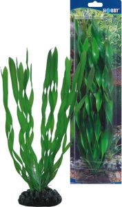Φωτογραφία προϊόντος: Hobby Vallisneria πλαστικό διακοσμητικό φυτό για ενυδρεία 20cm Hobby (4011444415073)