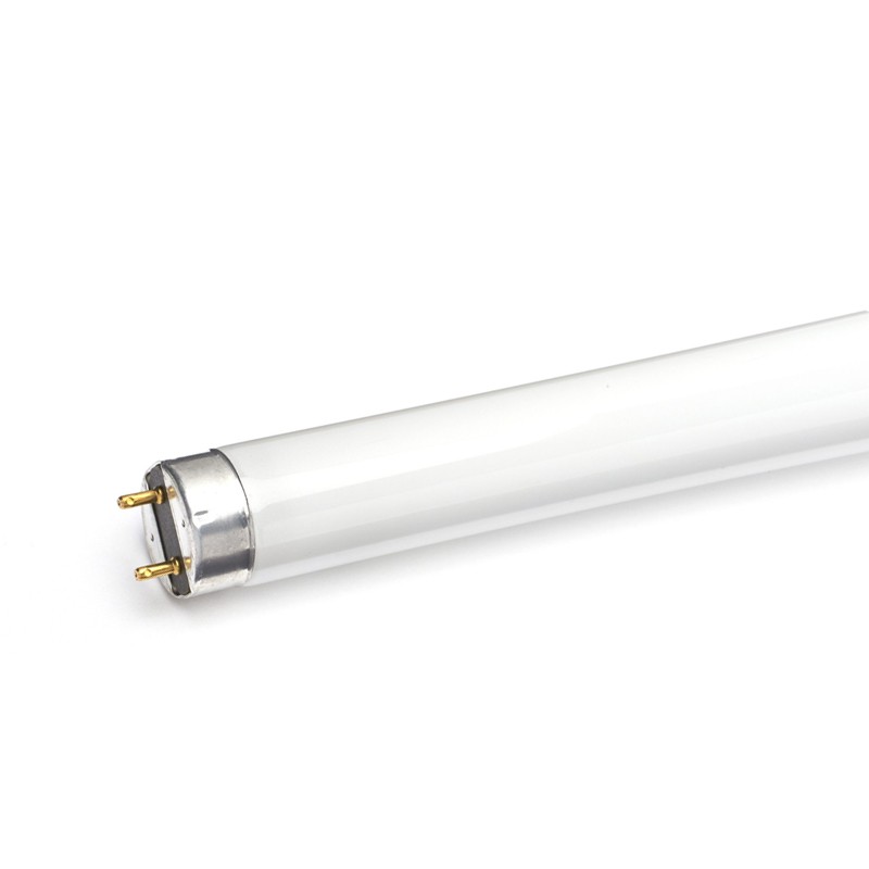 Φωτογραφία προϊόντος: DIOLAMP T8 Φθορίου 58W 4000K 4200lm Ra75 1xG13 / 308040058