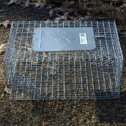 Φωτογραφία προϊόντος: SPARROW CAGE TRAP Παγίδα για Σπουργίτια 610x345x210 mm