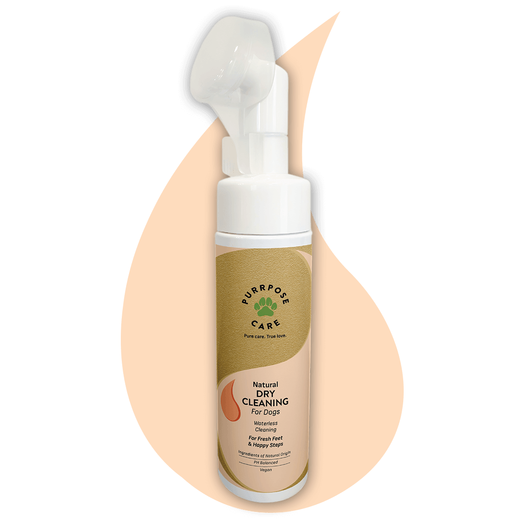 Φωτογραφία προϊόντος: PURRPOSE CARE Paw Foam Dry Clean - Σαμπουάν Στεγνού Καθαρισμού 200ml