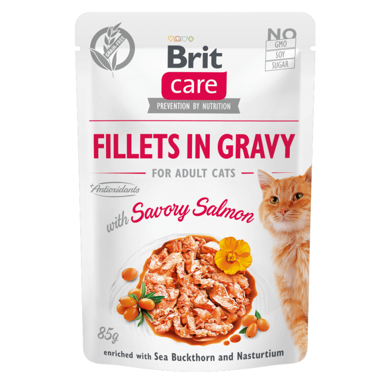 Φωτογραφία προϊόντος: Brit Care Cat φακελάκι Salmon 85gr