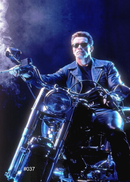 Φωτογραφία προϊόντος: ΚΑΜΒΑΣ ARNOLD SCHWARZENEGGER ON MOTORBIKE #037 |CANVAS