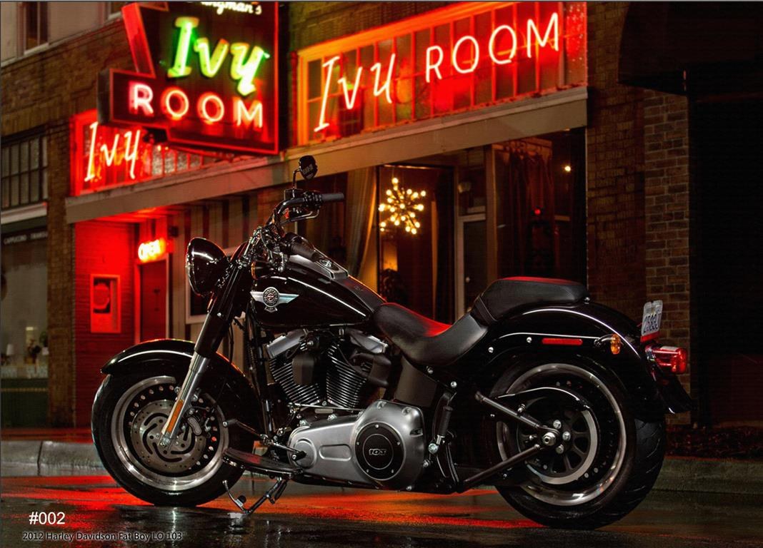 Φωτογραφία προϊόντος: ΚΑΜΒΑΣ 2012 HARLEY DAVIDSON FAT BOY LO 103 #002 |CANVAS