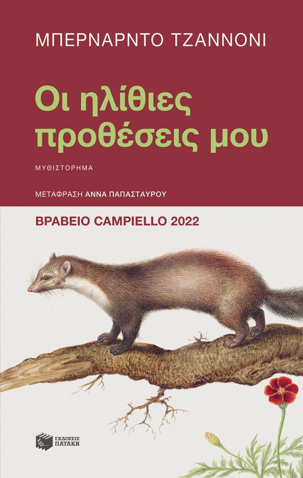 Φωτογραφία προϊόντος: Οι ηλίθιες προθέσεις μου