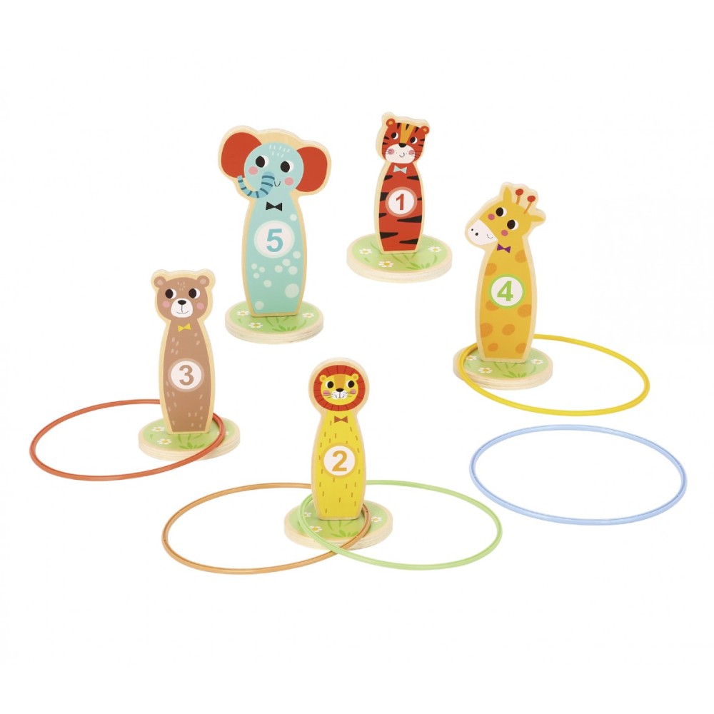 Φωτογραφία προϊόντος: Tooky Toy TF401 Ξύλινες Κορίνες με Κρίκους (GTIN: 6972633371328)
