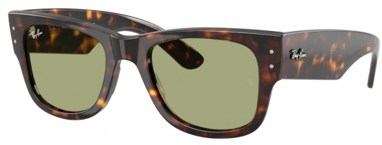 Φωτογραφία προϊόντος: Γυαλιά Ηλίου Ray Ban 0840S 902/4E