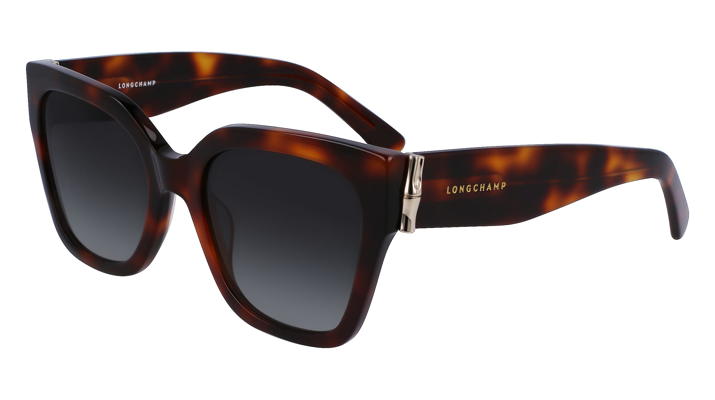 Φωτογραφία προϊόντος: Γυαλιά Ηλίου LONGCHAMP LO732S 230