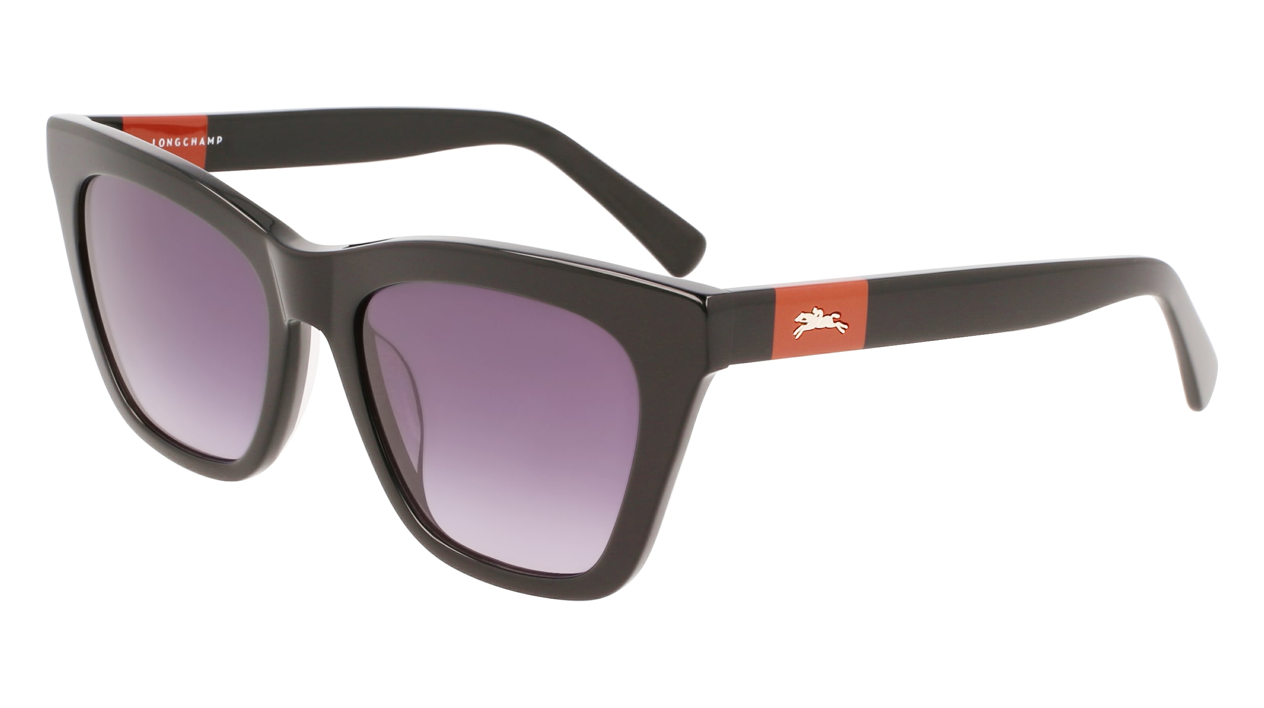 Φωτογραφία προϊόντος: Γυαλιά Ηλίου LONGCHAMP LO715S 001