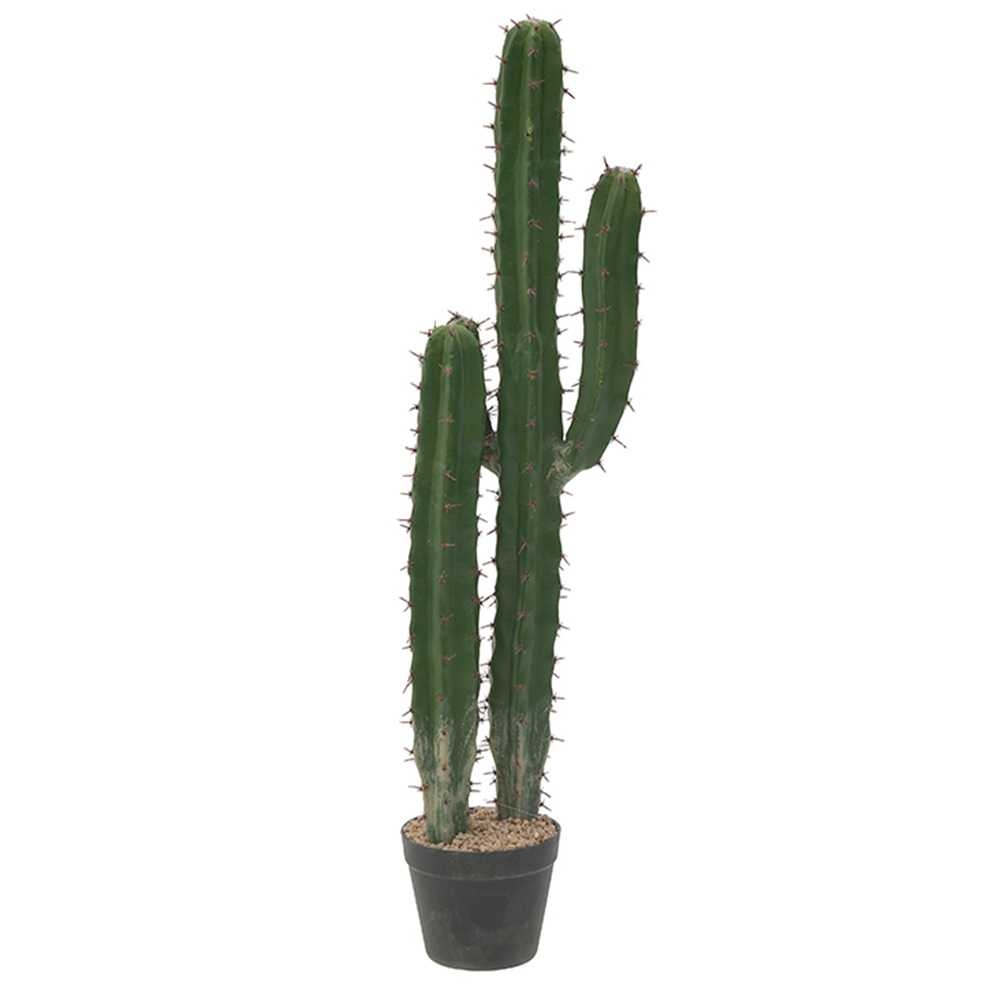 Φωτογραφία προϊόντος: Κάκτος σε γλάστρα pl πράσινος 25x16x92cm InArt 3-85-457-0022