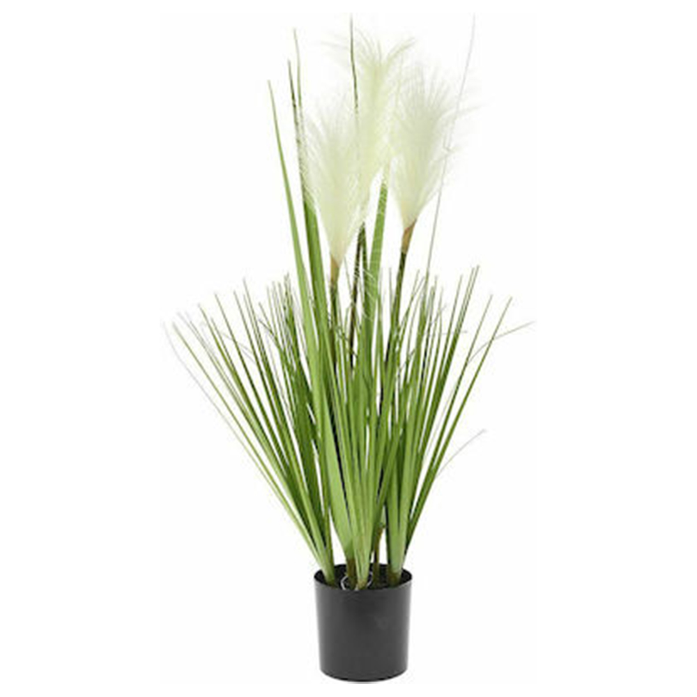 Φωτογραφία προϊόντος: Φυτό σε γλάστρα Pampas και grass Υ78cm Iliadis 77364