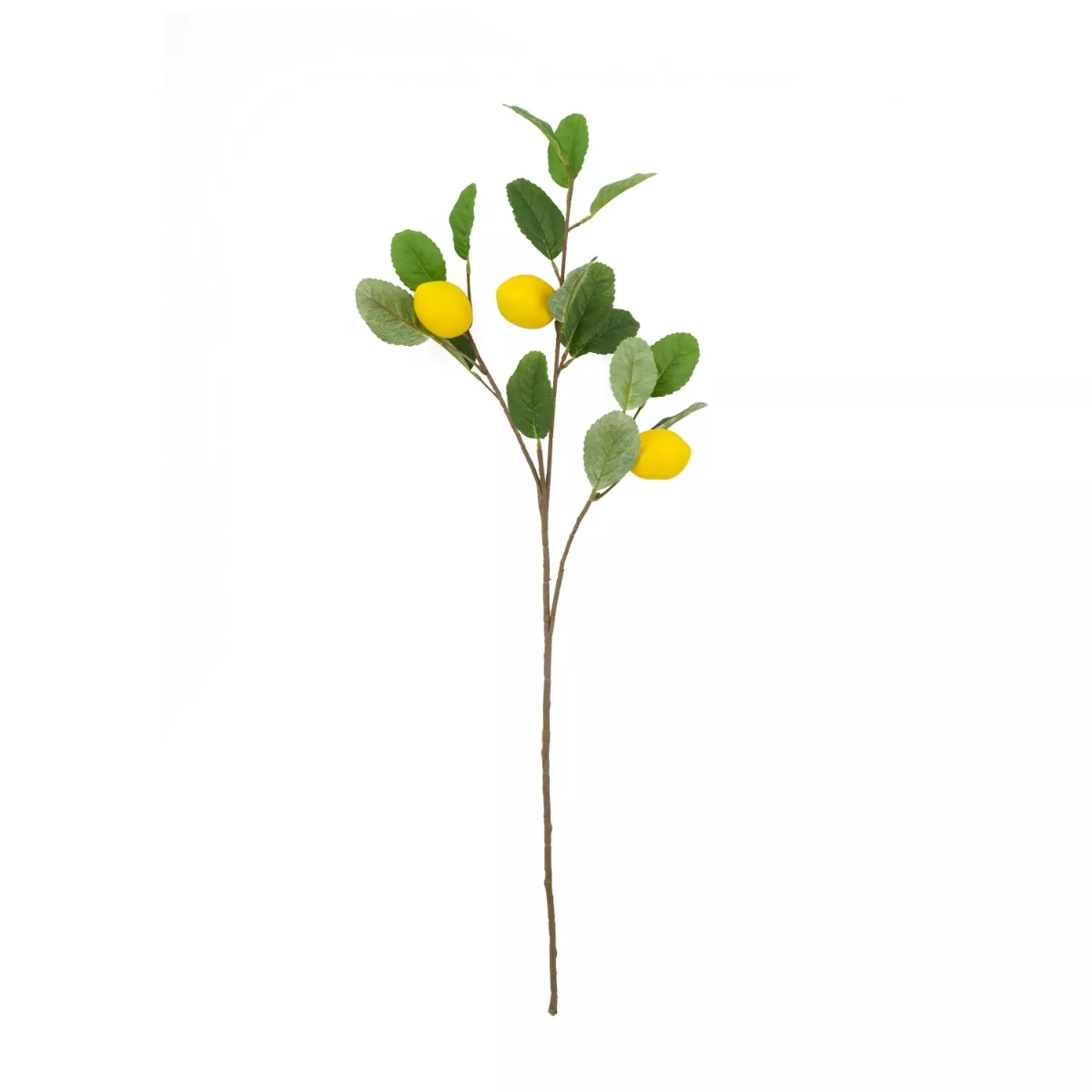 Φωτογραφία προϊόντος: Artekko Faux Lemon Πράσινο Πλαστικό Τεχνητό Κλαδί Λεμονιάς (26x13x85)cm 26x13x85