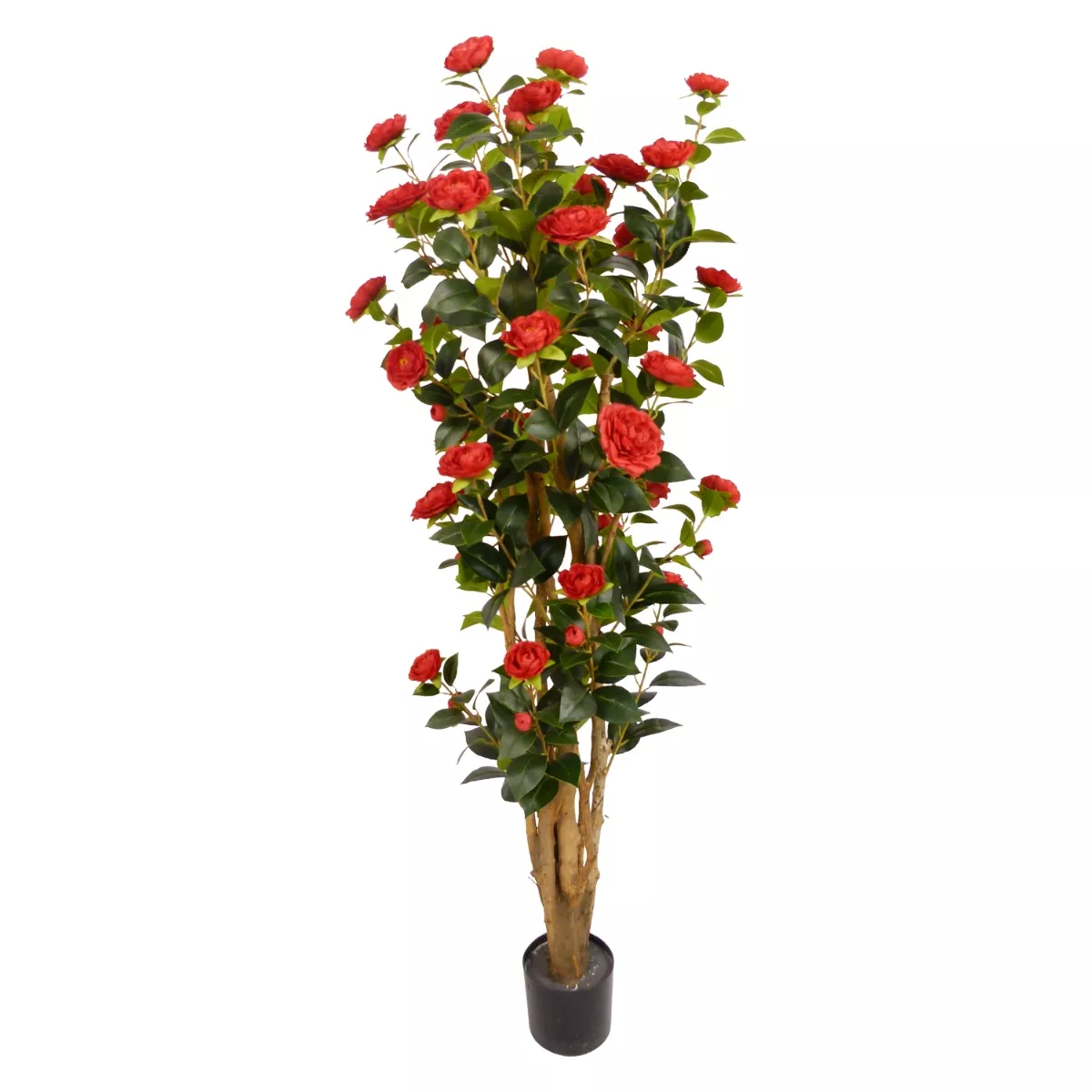 Φωτογραφία προϊόντος: Artekko Verde Πράσινο Τεχνητό Δέντρο Καμέλιας σε Γλάστρα 150cm