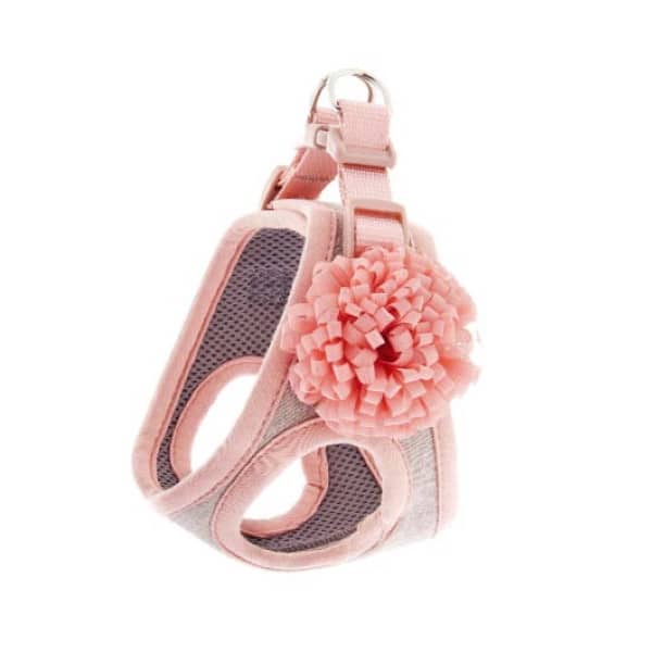 Φωτογραφία προϊόντος: Σαμαράκι Ferribiella Bella S 32-39cm