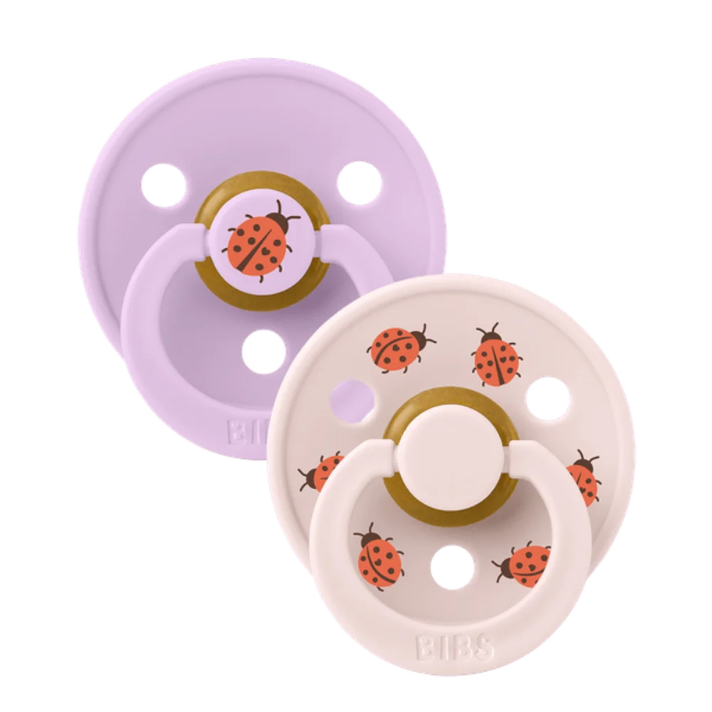 Φωτογραφία προϊόντος: Bibs – Πιπίλες Colour Studio Ladybug/Violet Sky Mix+6 μηνών 2τμχ