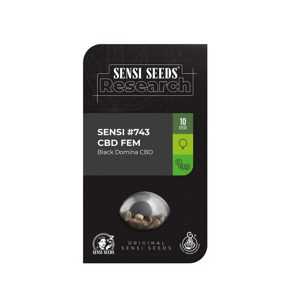 Φωτογραφία προϊόντος: Sensi Seeds 3 Seeds CBD #743 Fem (Black Domina CBD) – Θηλυκοί σπόροι
