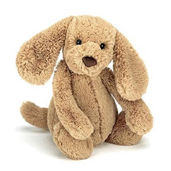 Φωτογραφία προϊόντος: JELLYCAT Bashful Κουτάβι Toffee Μικρό 18cm (JC-BASS6TPUS)