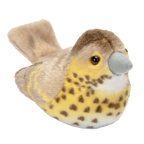 Φωτογραφία προϊόντος: BIRDS - SONG THRUSH 13cm - ΚΕΛΑΗΔΟΤΣΙΧΛΑ - Wild Republic (ME HXO KM-19497)