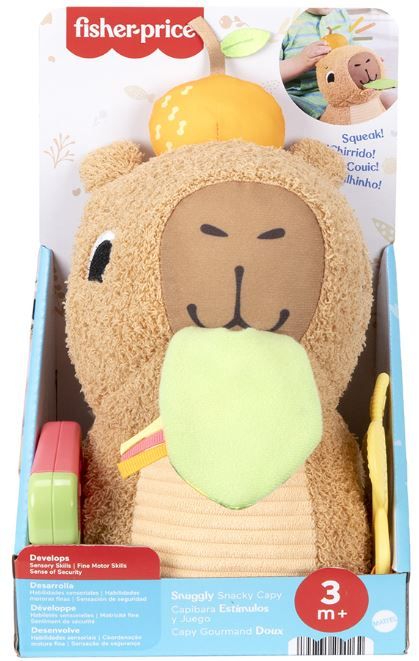 Φωτογραφία προϊόντος: Fisher Price Μαλακό Καπιμπαρα Δραστηριοτήτων (HYR54)