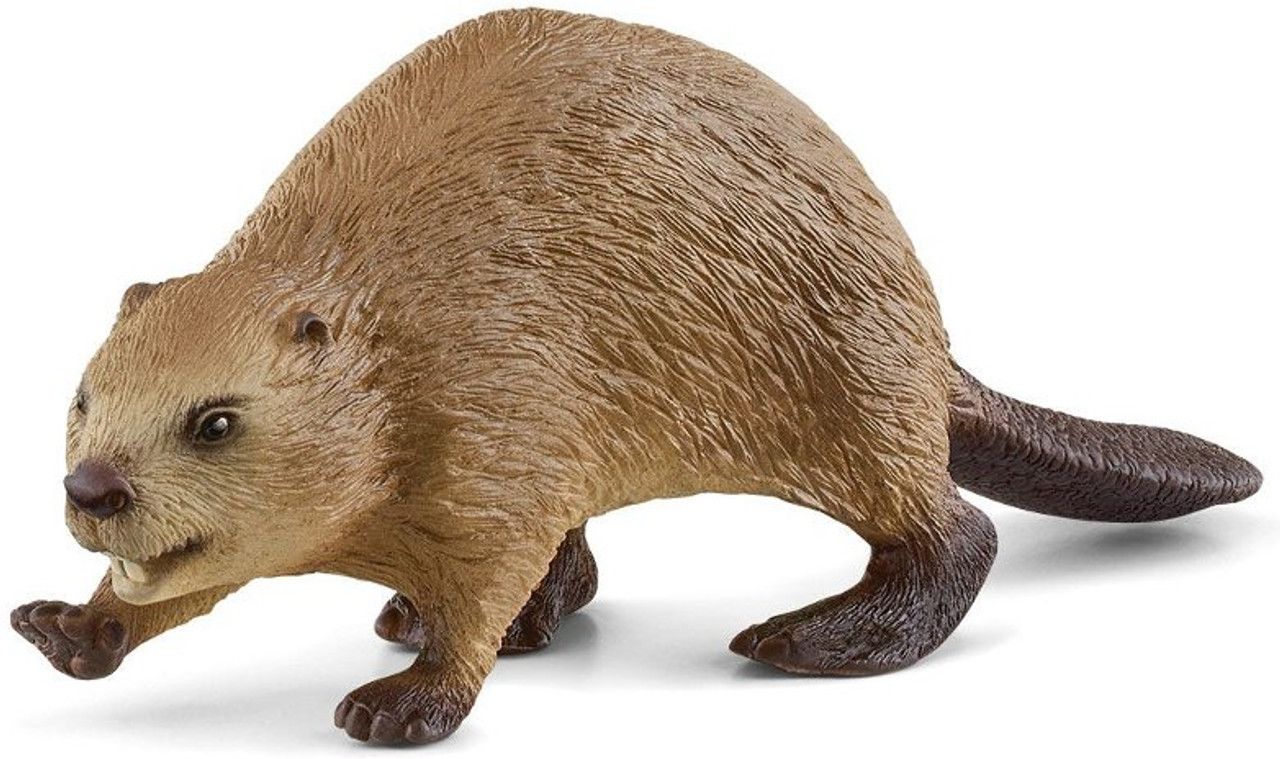 Φωτογραφία προϊόντος: Schleich Ζωάκια Κάστορας (SCH14855)