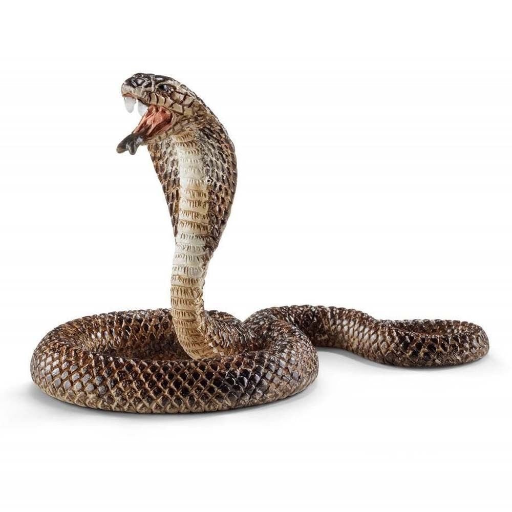 Φωτογραφία προϊόντος: Schleich Ζωάκια Κόμπρα (SCH14733)