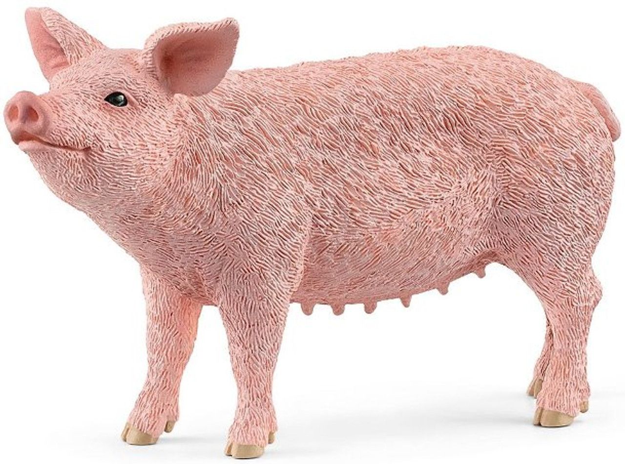 Φωτογραφία προϊόντος: Schleich Ζωάκια Γουρούνι Θηλυκό (SCH13933)