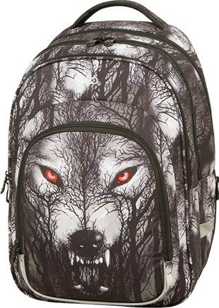 Φωτογραφία προϊόντος: Polo Σακίδιο Πλάτης Ace Wolf (901047-8283)