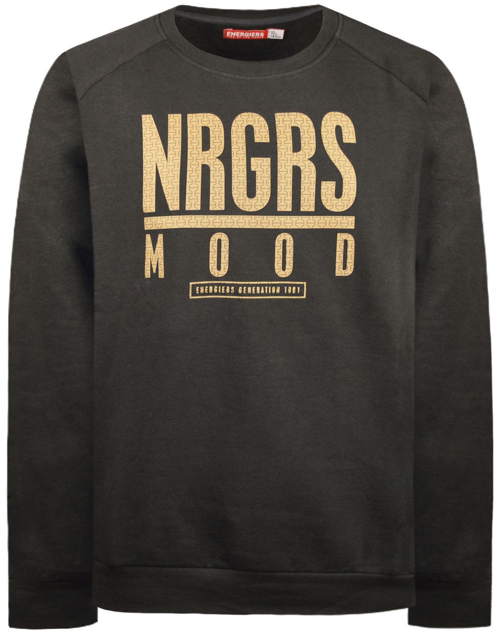 Φωτογραφία προϊόντος: Energiers Μπλούζα Τύπωμα Nrgrs Mood Xρώμα 002 Ανθρακί (13-122007-5)
