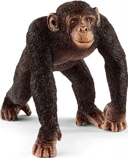 Φωτογραφία προϊόντος: Ζωάκια Schleich Χιμπατζής Αρσενικός (SCH14817)