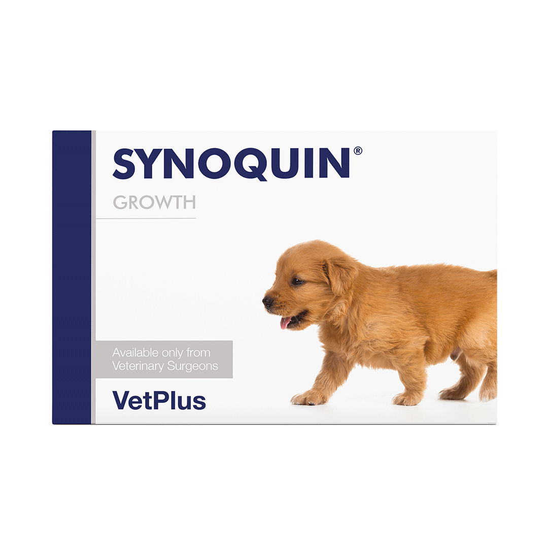 Φωτογραφία προϊόντος: PETHEALTH VetPlus SYNOQUIN GROWTH 60tabs