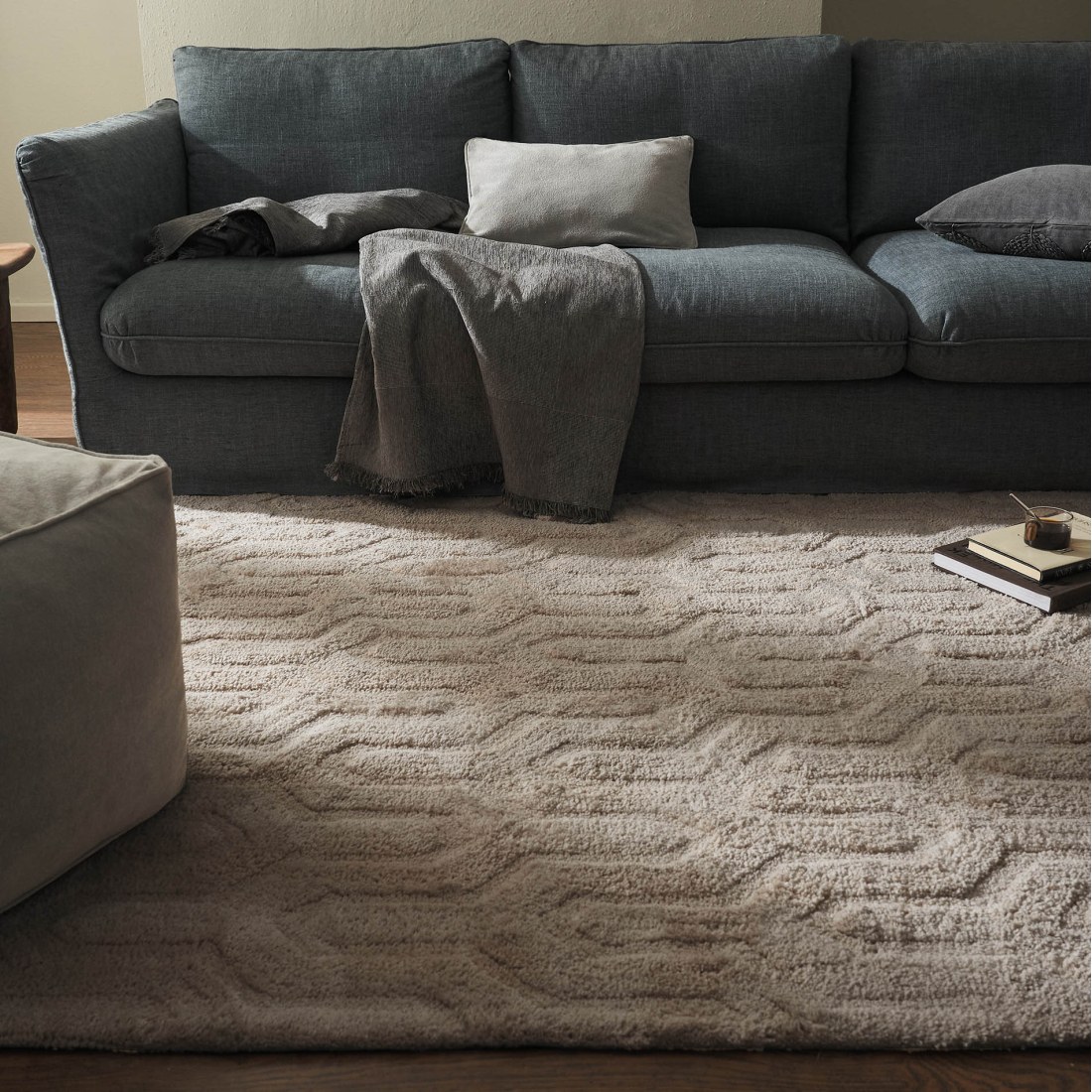 Φωτογραφία προϊόντος: Χαλί Gofis Home Delaney Soft Brown 70-108-804/06 200x290