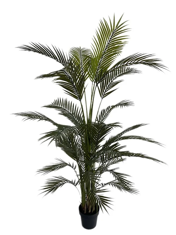 Φωτογραφία προϊόντος: PALM TREE NP160_210_UV ΥΨΟΣ 210cm NewPlan