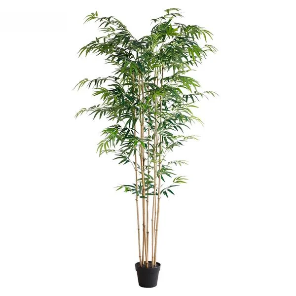Φωτογραφία προϊόντος: BAMBOO NP0070_210 ΥΨΟΣ 210cm NewPlan