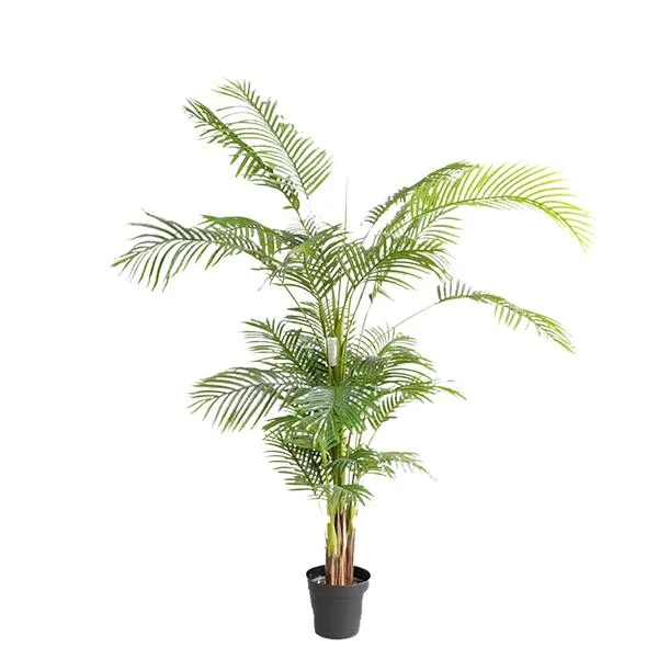 Φωτογραφία προϊόντος: PALM TREE NP5502_180_22 ΥΨΟΣ 180cm NewPlan