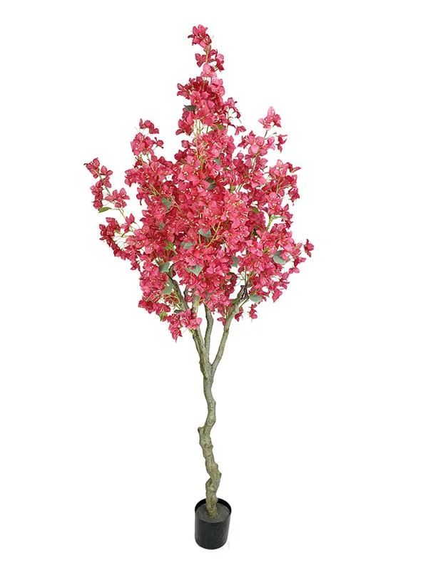 Φωτογραφία προϊόντος: BOUGAINVILLEA NP0421_210 ΥΨΟΣ 210cm NewPlan