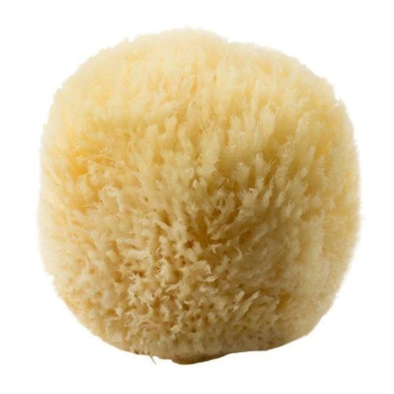 Φωτογραφία προϊόντος: Gerakios Natural Sea Sponge Ελληνικό 100% Φυσικό Θαλάσσιο Σφουγγάρι Νο 7 1τεμ.