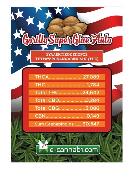 Φωτογραφία προϊόντος: GORILLA SUPER GLUE Αυτόματοι Σπόροι – E-Cannabi